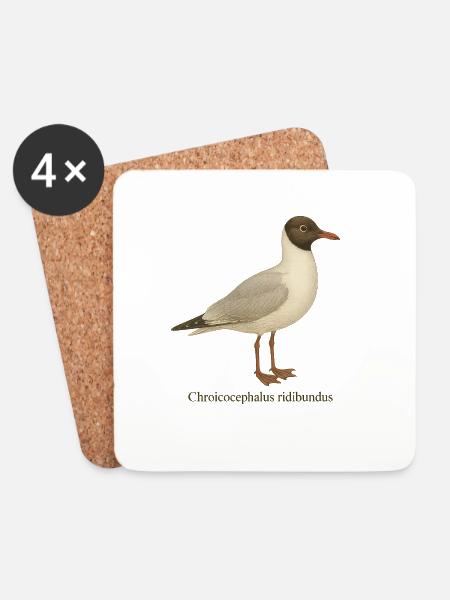 Lachmöwe - Chroicocephalus ridibundus - Untersetzer (4er-Set) - Weiß