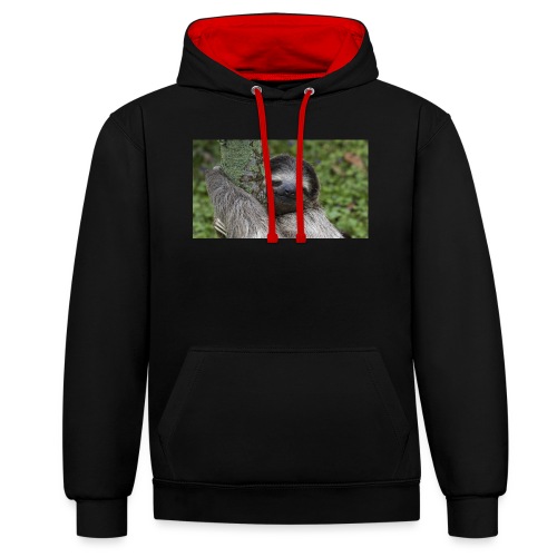 Luiaard - Contrast hoodie