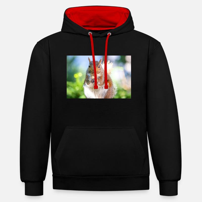 Manger l’écureuil gris Grauhörnchen - Sweat à capuche contrasté - noir/rouge