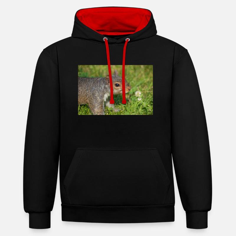 Grey squirrel Grauhörnchen Sciurus carolinensis - Contrast hoodie - black/red
