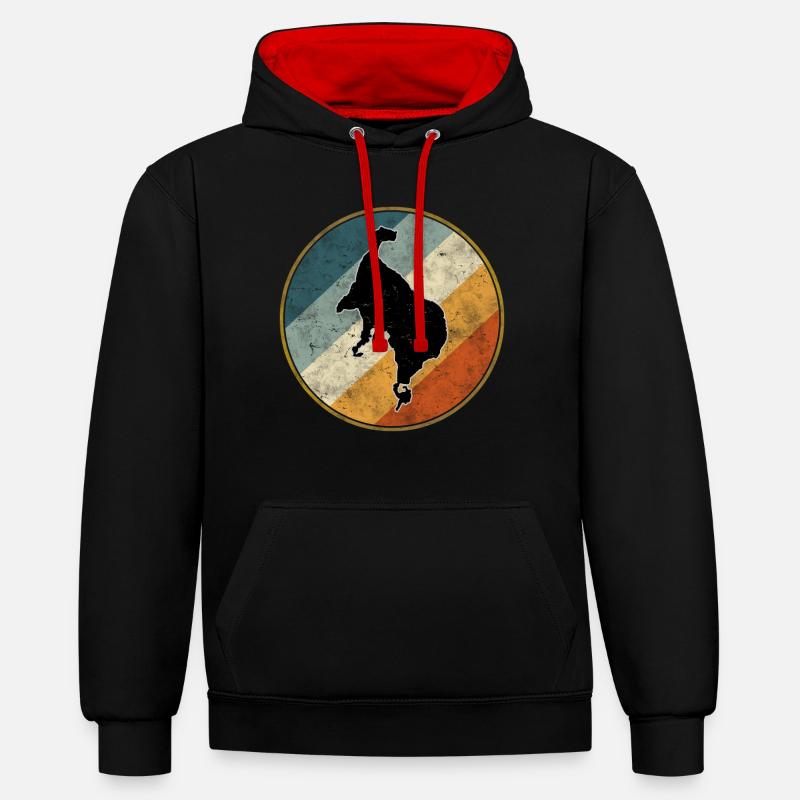 Müritz Vacances - Sweat à capuche contrasté - noir/rouge