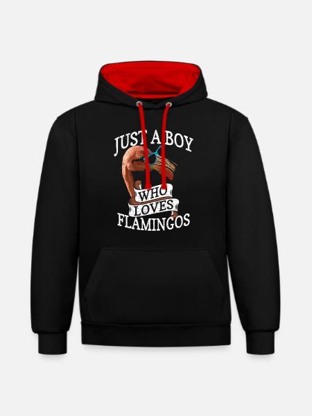Flamingo Geschenk - Kontrast-Hoodie - Schwarz/Rot