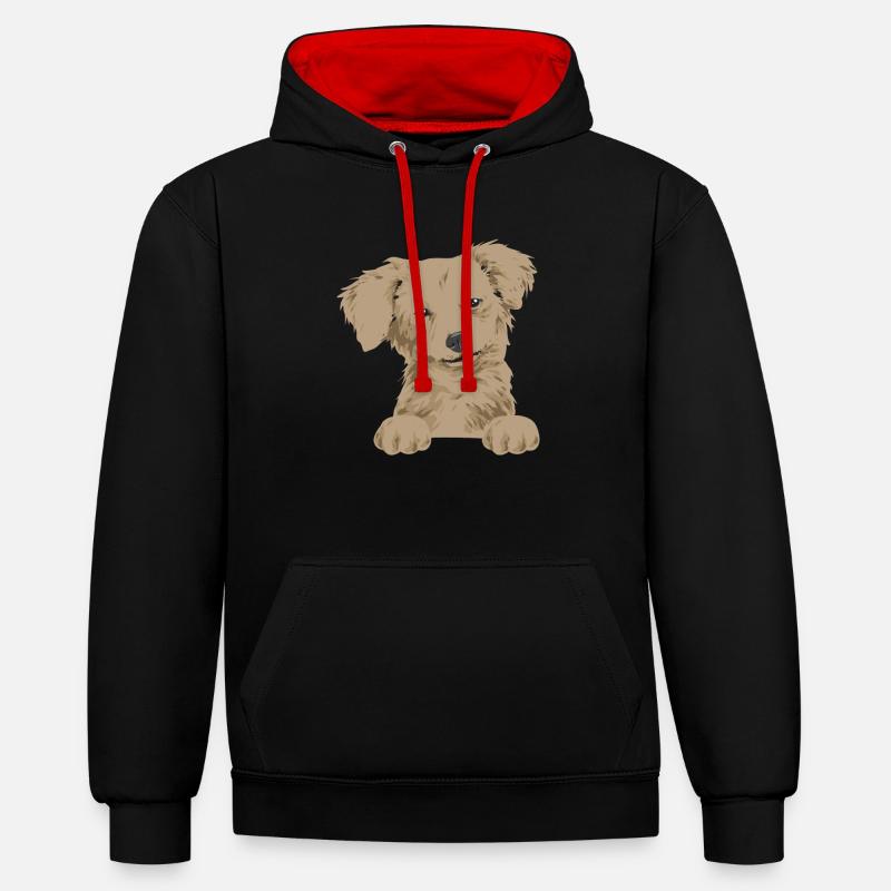 Chiweenie Chien - Sweat à capuche contrasté - noir/rouge