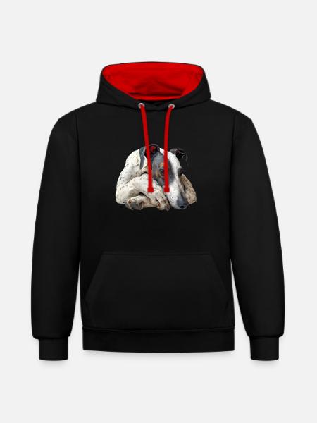 Whippet - Sweat à capuche contrasté - noir/rouge