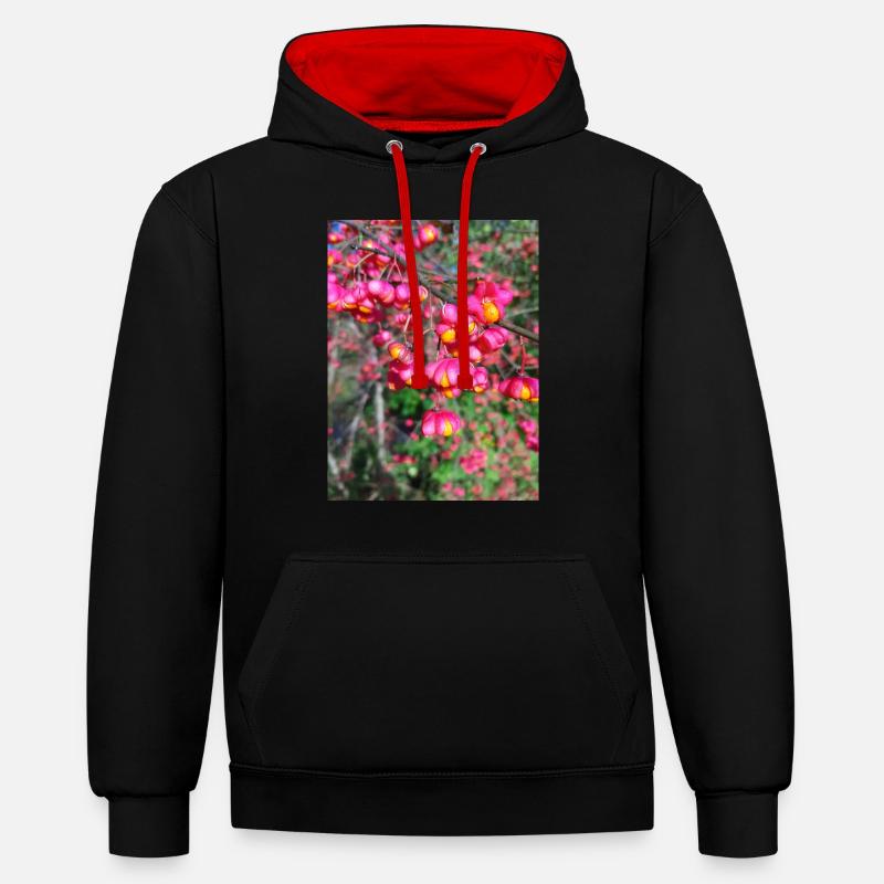 Spindle tree - Contrast hoodie - black/red