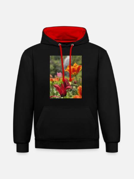 Tulpen bunt - Kontrast-Hoodie - Schwarz/Rot