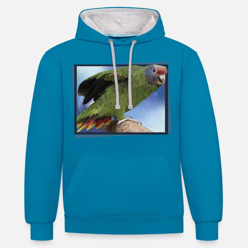 Le perroquet à queue rousse - Sweat à capuche contrasté - bleu paon/gris chiné