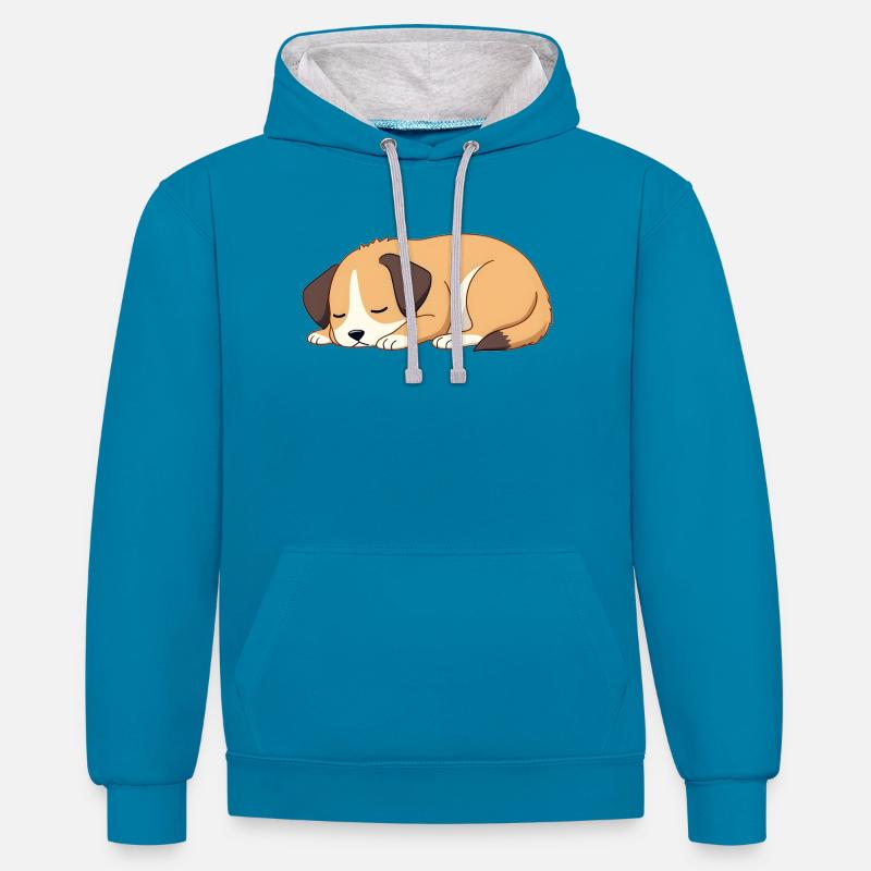 chien endormi - Sweat à capuche contrasté - bleu paon/gris chiné