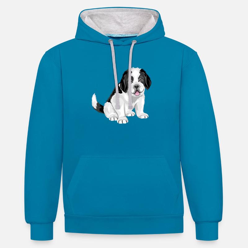 Mignon chiot Saint Bernard - Sweat à capuche contrasté - bleu paon/gris chiné