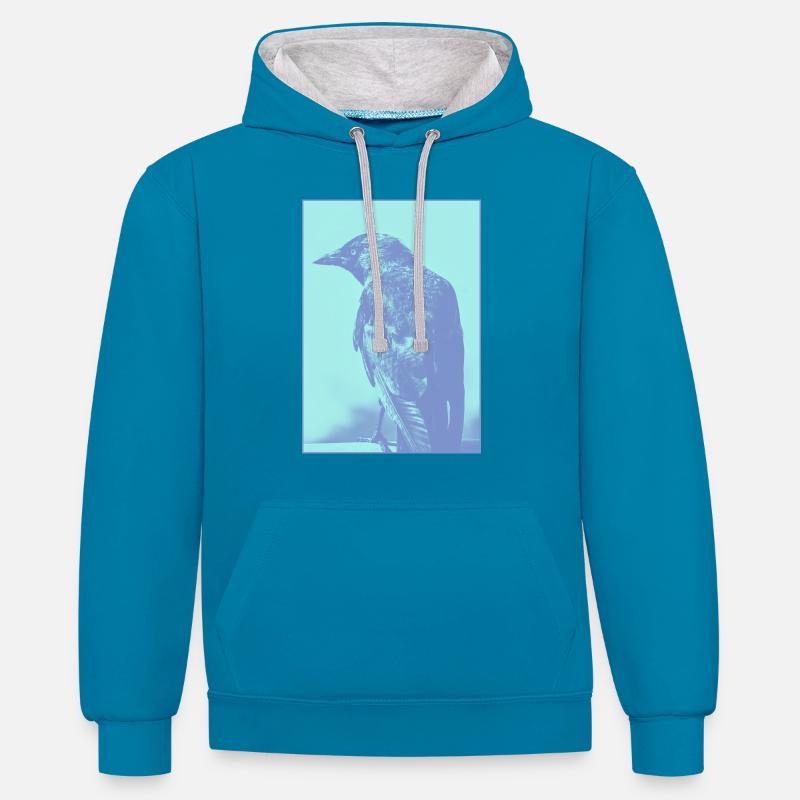 Choucas - Sweat à capuche contrasté - bleu paon/gris chiné
