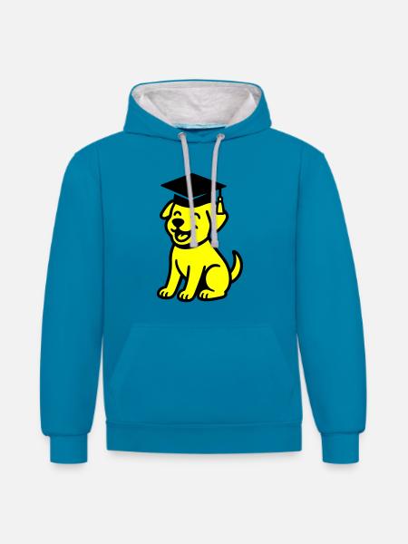 Bachelor Dog / Diploma Dog - Contrast hoodie - peacock blue/heather grey
