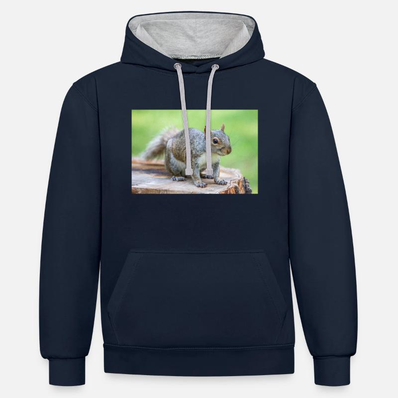 Grey squirrel Grauhörnchen Sciurus carolinensis - Contrast hoodie - navy/heather grey