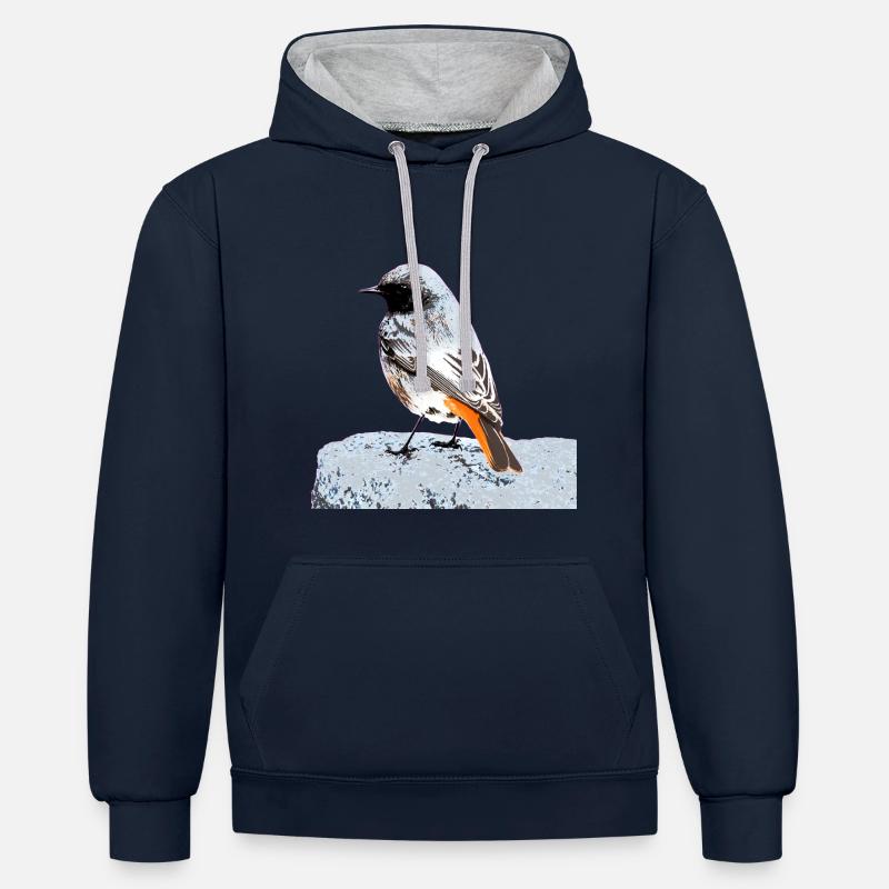 Queue rouge maison - Sweat à capuche contrasté - bleu marine/gris chiné