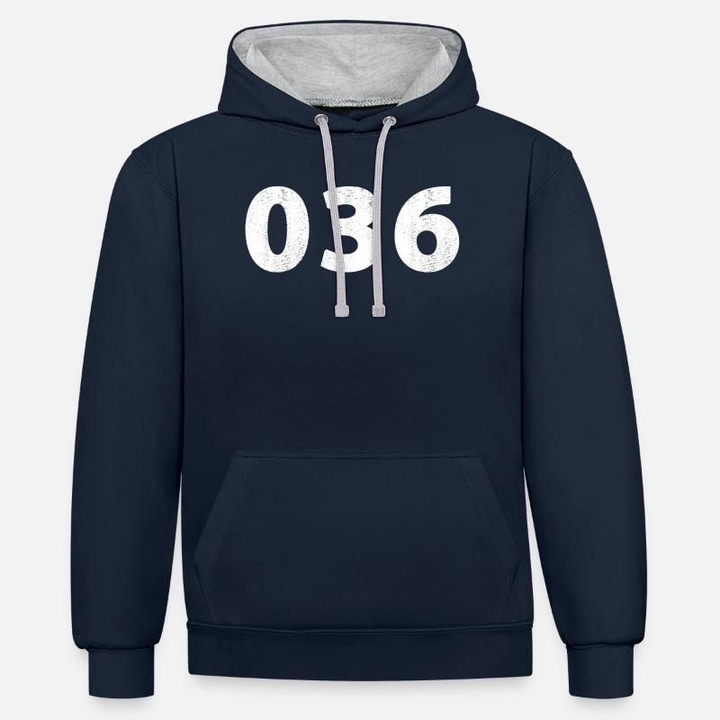 036 Almere Zeewolde - Sweat à capuche contrasté - bleu marine/gris chiné