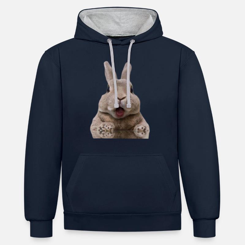 Lapin - Sweat à capuche contrasté - bleu marine/gris chiné