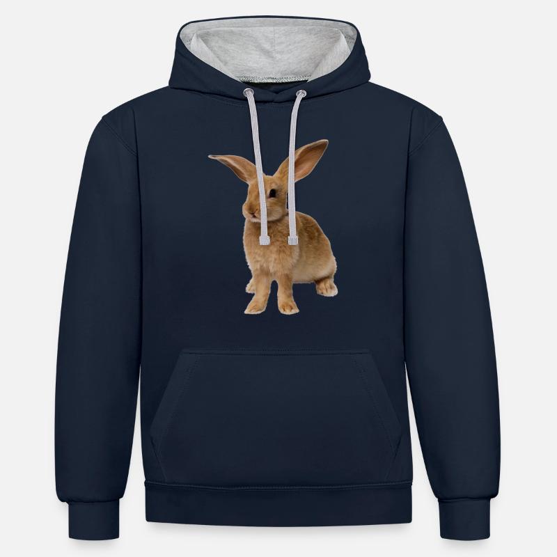 lapin - Sweat à capuche contrasté - bleu marine/gris chiné