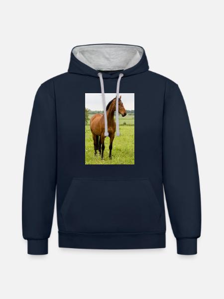 Cheval. Cheval. - Sweat à capuche contrasté - bleu marine/gris chiné