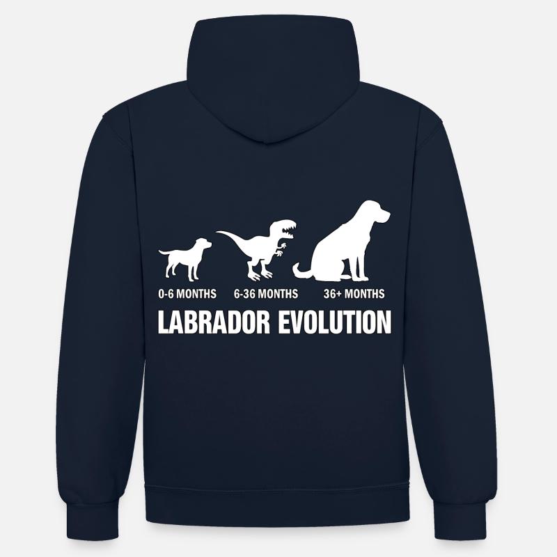 Évolution du Labrador - Sweat à capuche contrasté - bleu marine/gris chiné