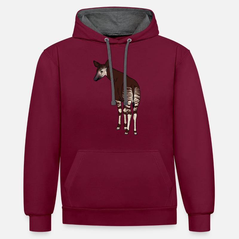 Okapi - Sweat à capuche contrasté - bordeaux/anthracite