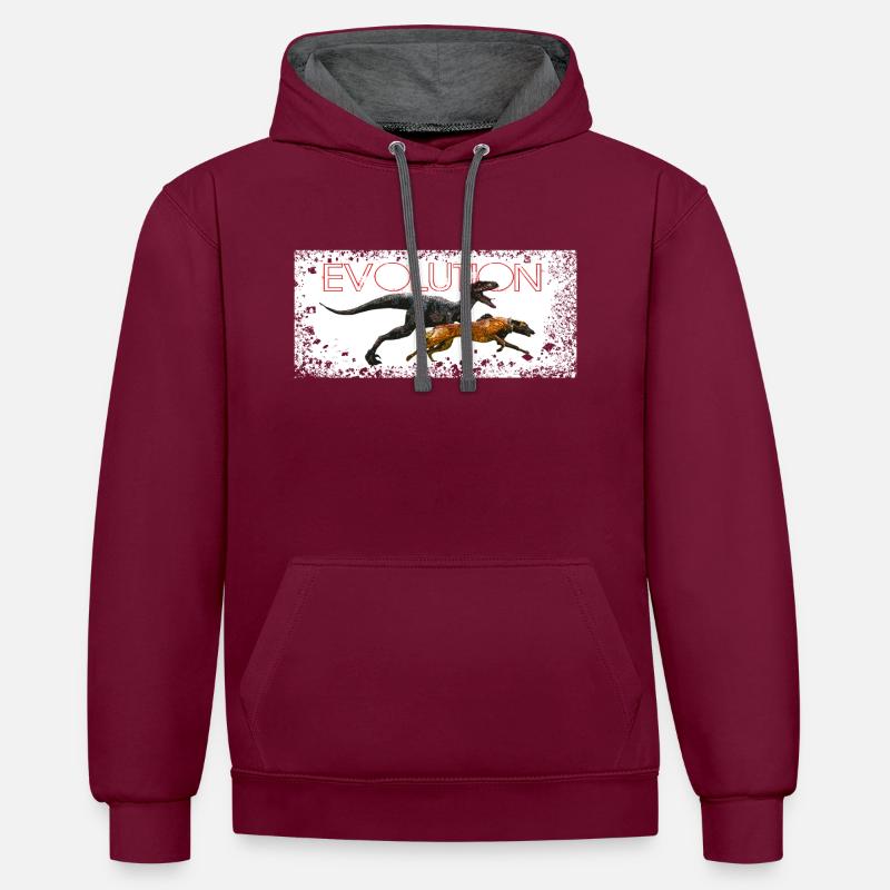 Evolution BD chien - Sweat à capuche contrasté - bordeaux/anthracite