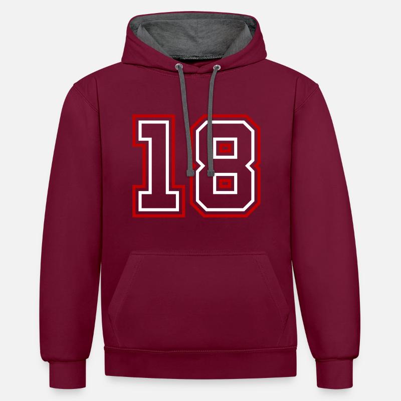 18 Numéro de numéro - Sweat à capuche contrasté - bordeaux/anthracite