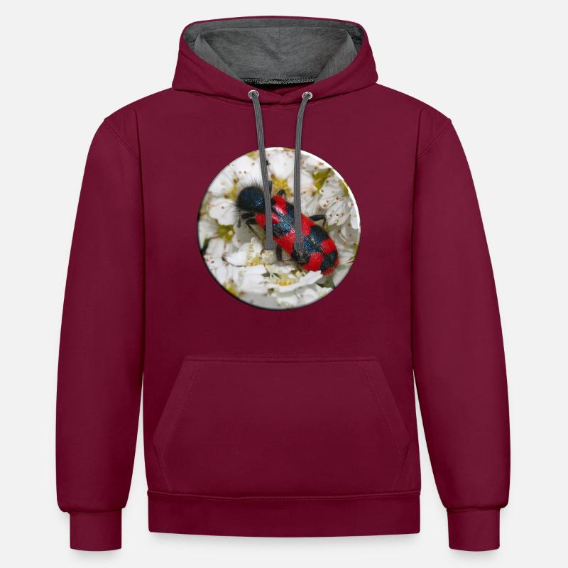 Der Bienenkäfer oder Bienenwolf - Kontrast-Hoodie - Weinrot/Anthrazit