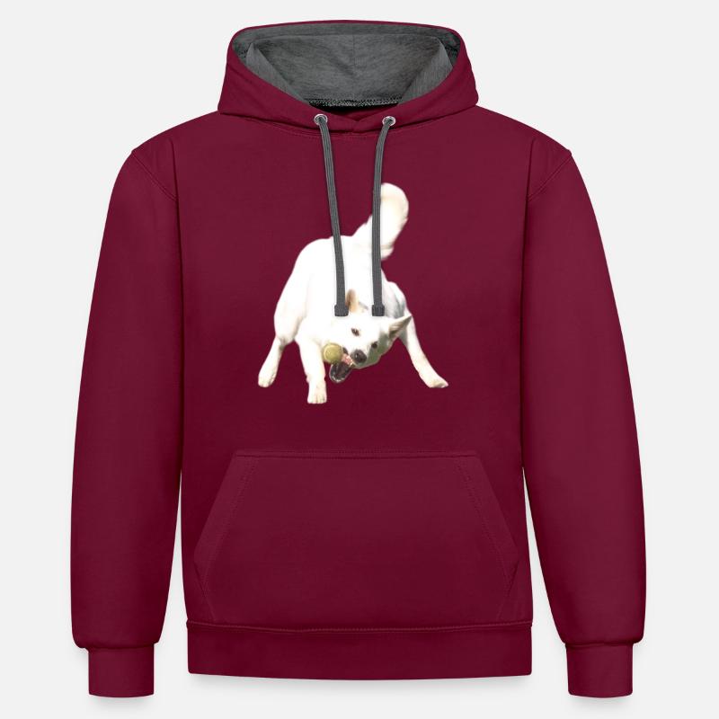 Attraper le ballon - Sweat à capuche contrasté - bordeaux/anthracite