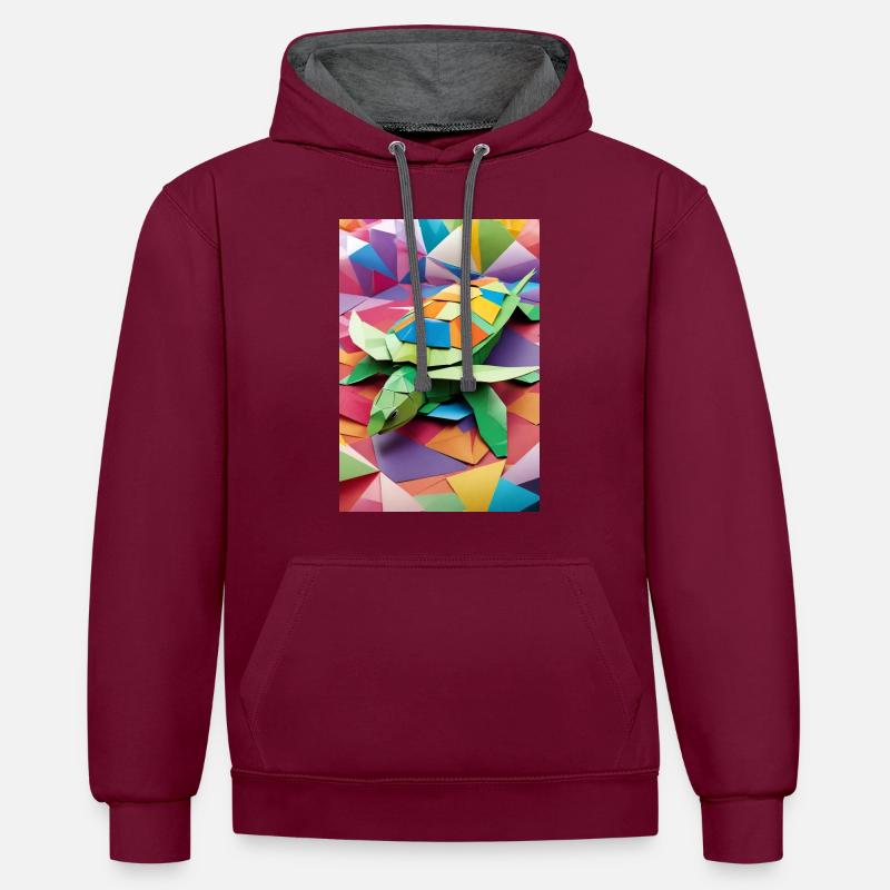 Rainbow Shell - Origami Turtle - Contrast hoodie - burgundy/charcoal