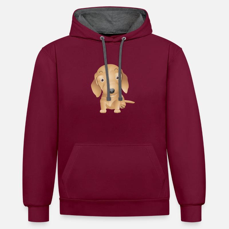 3 chien - Sweat à capuche contrasté - bordeaux/anthracite