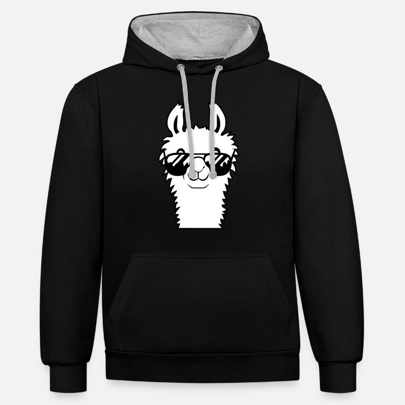 Lunettes de soleil Alpaca Cool - Sweat à capuche contrasté - noir/gris chiné