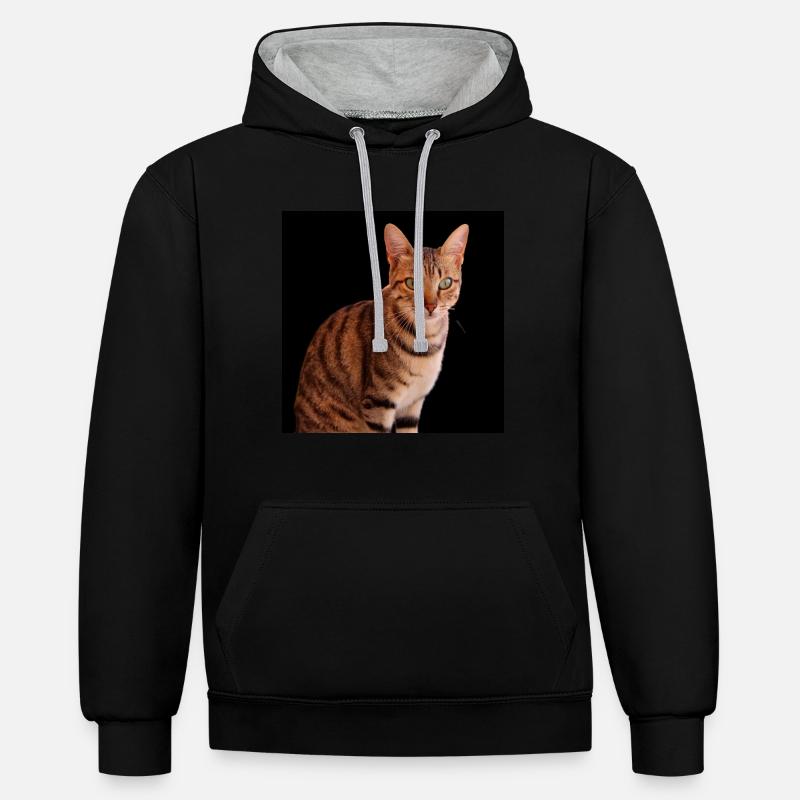 Chat chat chaton doux - Sweat à capuche contrasté - noir/gris chiné