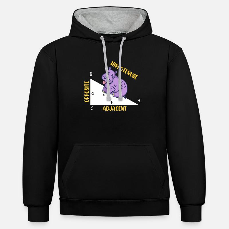 Hippotenuse Math - Sweat à capuche contrasté - noir/gris chiné