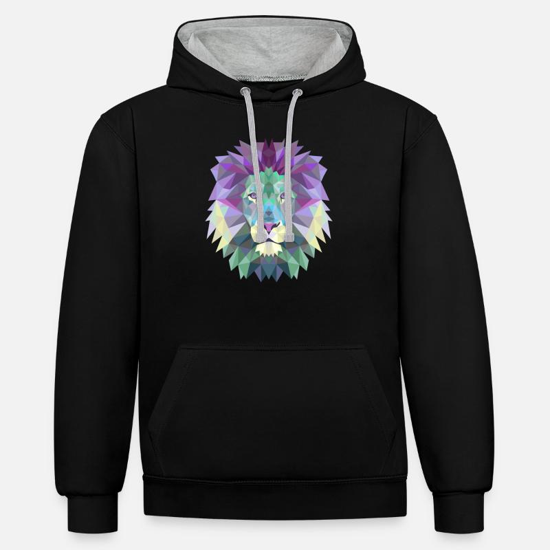 POLYGONE DE LION - Sweat à capuche contrasté - noir/gris chiné