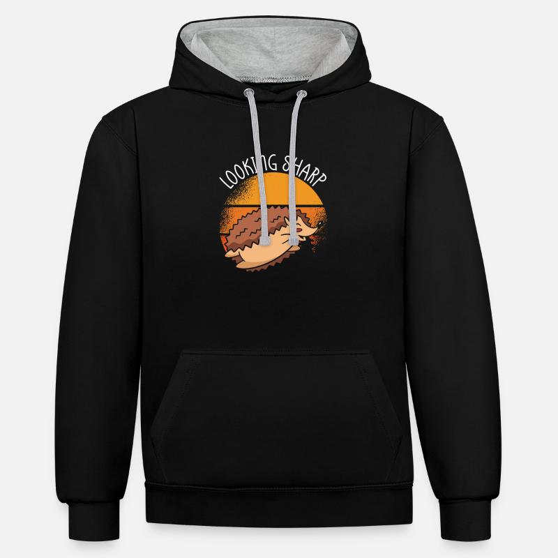 Rechercher Sharp Hedgehog - Sweat à capuche contrasté - noir/gris chiné