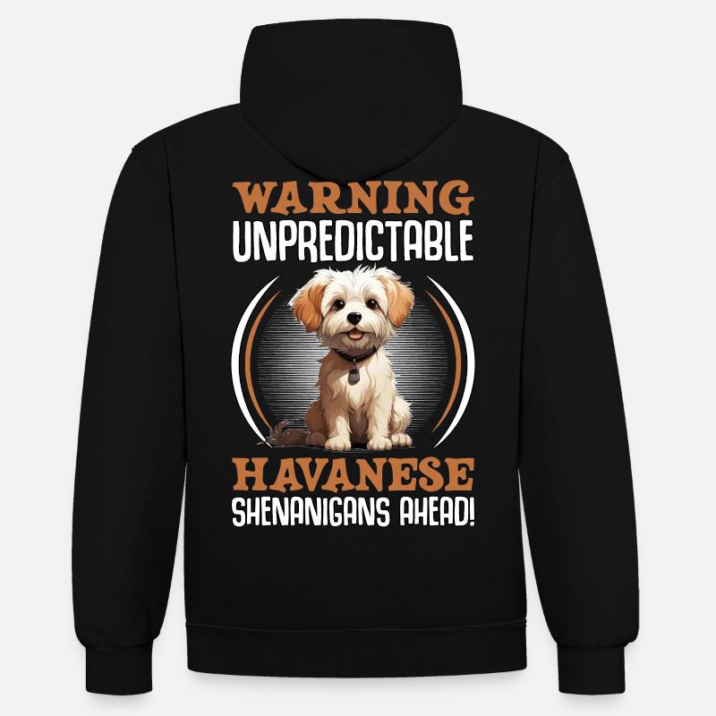 Warning unpredictable Havanese Shenanigans ahead - Contrast hoodie - black/heather grey