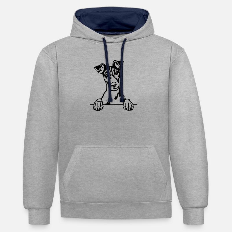 Tête de Fox Terrier - Sweat à capuche contrasté - gris chiné/bleu marine