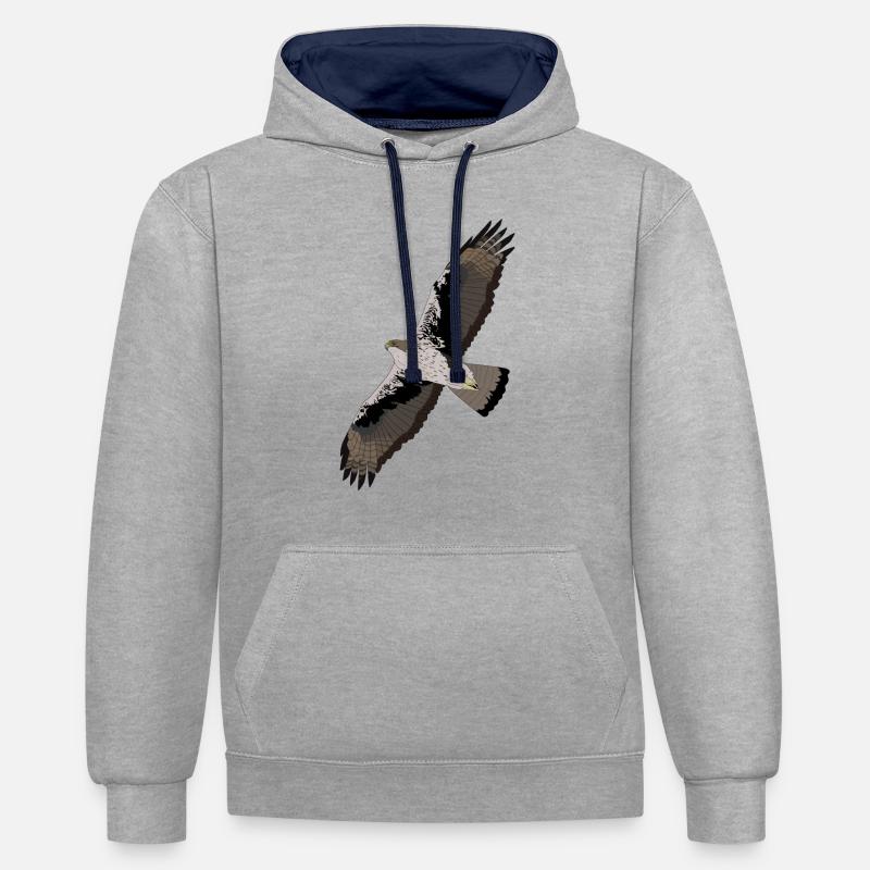 Aigle de Bonelli - Sweat à capuche contrasté - gris chiné/bleu marine