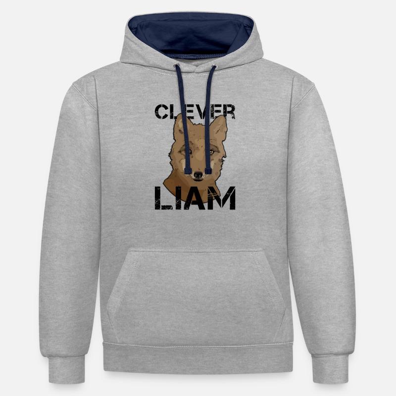 L’anniversaire de Liam Liam - Sweat à capuche contrasté - gris chiné/bleu marine