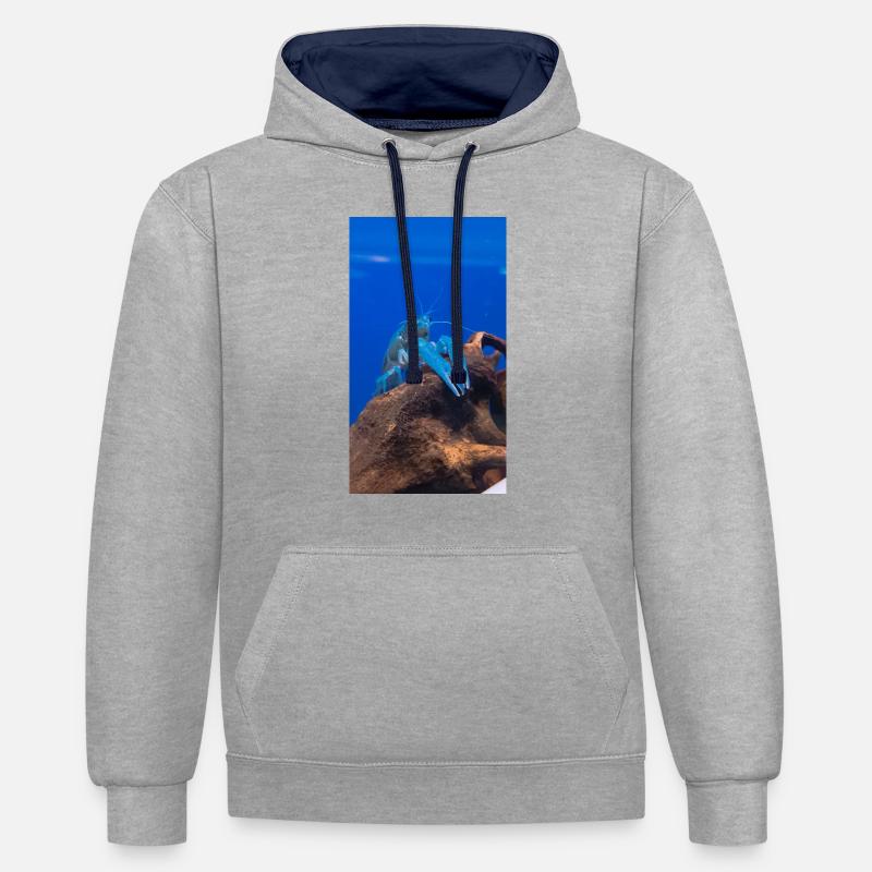 BlueCrap - Sweat à capuche contrasté - gris chiné/bleu marine