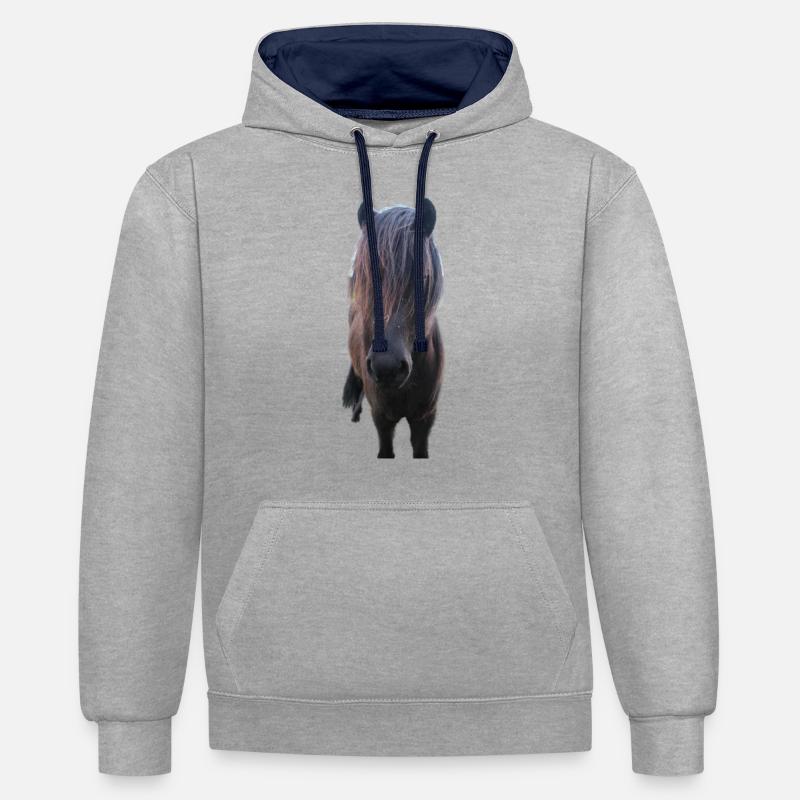 Chevaux T-shirt Cadeau Cavalier - Sweat à capuche contrasté - gris chiné/bleu marine