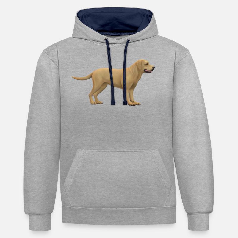 Conception de chiens - Sweat à capuche contrasté - gris chiné/bleu marine