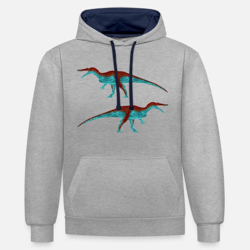 Baryonyx (Classique) - Sweat à capuche contrasté - gris chiné/bleu marine
