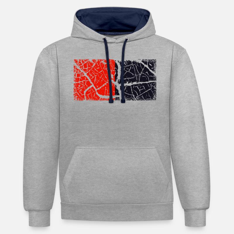 Down (comté) - Sweat à capuche contrasté - gris chiné/bleu marine