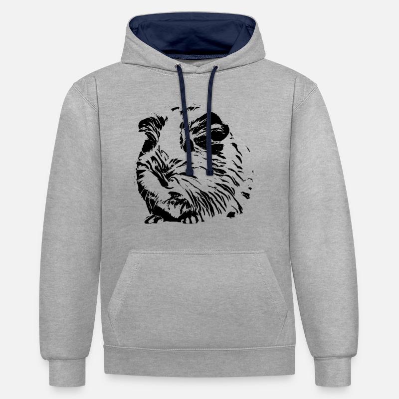 Cochons d'Inde - Sweat à capuche contrasté - gris chiné/bleu marine