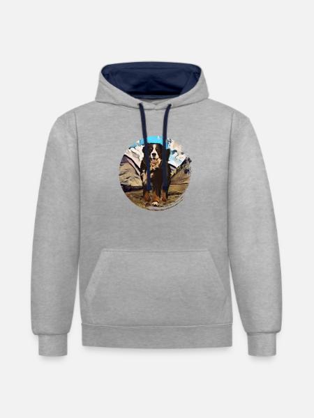 Bernese mountain dog - Contrast hoodie - heather grey/navy