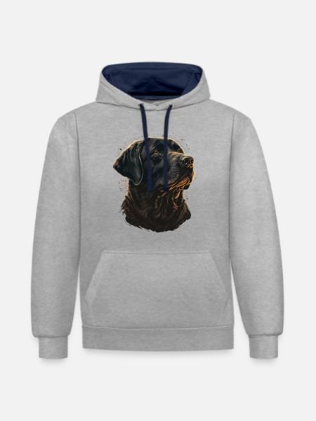 Nice Labrador Retriever Illustration - Contrast hoodie - heather grey/navy