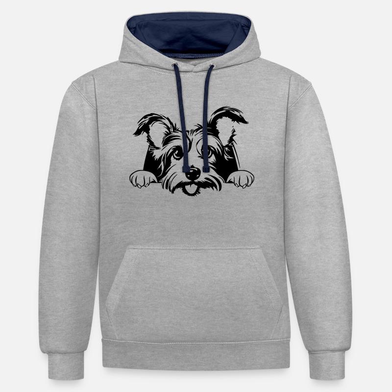 Petit Terrier - Sweat à capuche contrasté - gris chiné/bleu marine