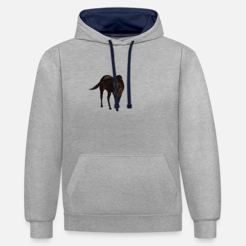 Cheval - Sweat à capuche contrasté - gris chiné/bleu marine