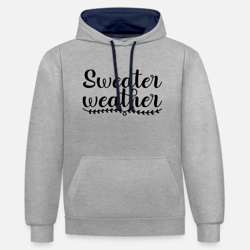Météo des pulls - Sweat à capuche contrasté - gris chiné/bleu marine