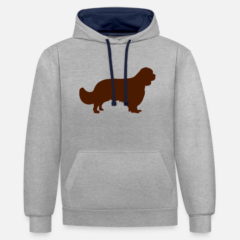 Cavalier King Charles Spaniel - Sweat à capuche contrasté - gris chiné/bleu marine